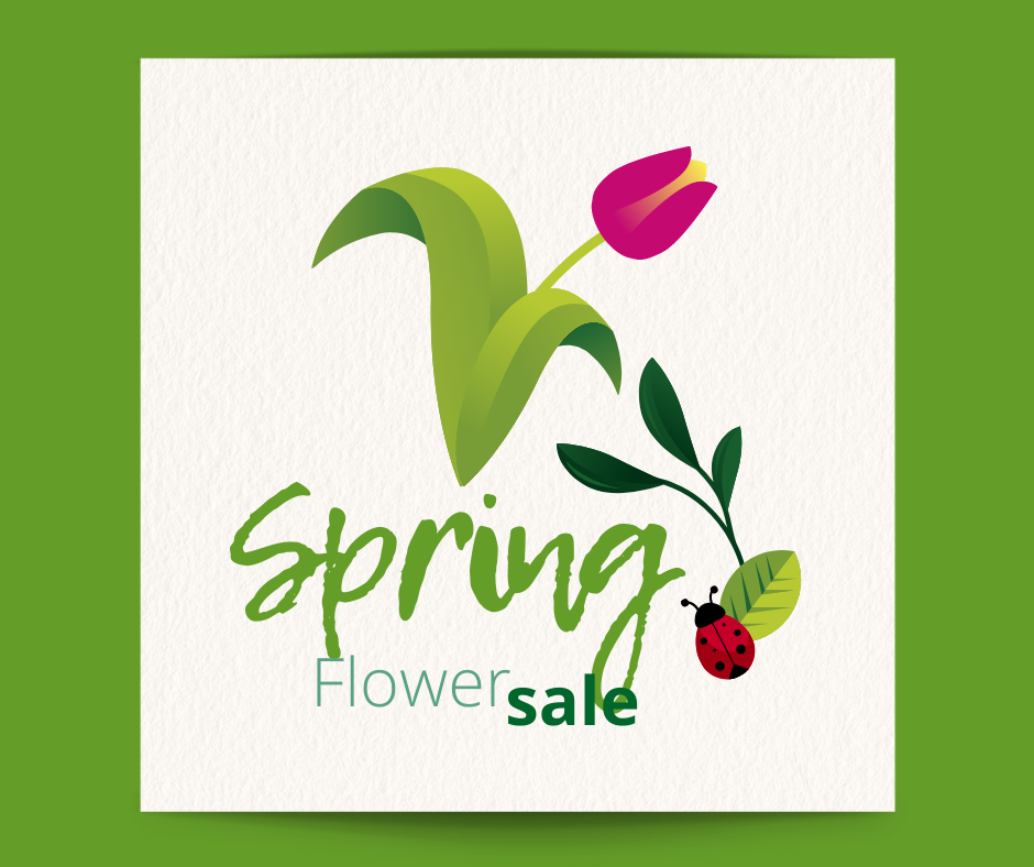 spring flower sale