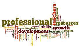 professional development